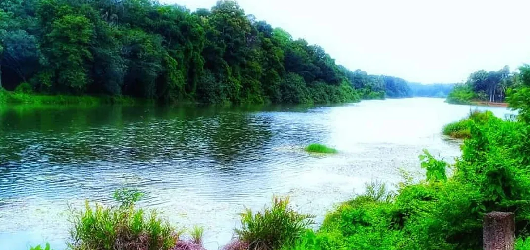 Rivers in Kerala - Live Kerala