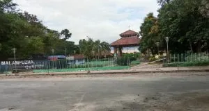 publive-image