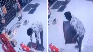 publive-image