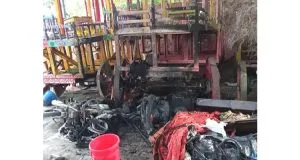 publive-image