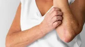 publive-image