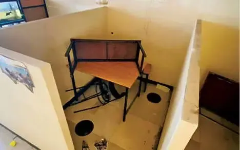 publive-image