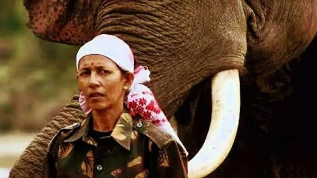 India's first woman 'mahout' breaks the glass ceiling to win Padma Shri  award | Zee Business