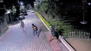 publive-image