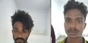 publive-image