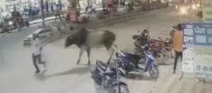 publive-image