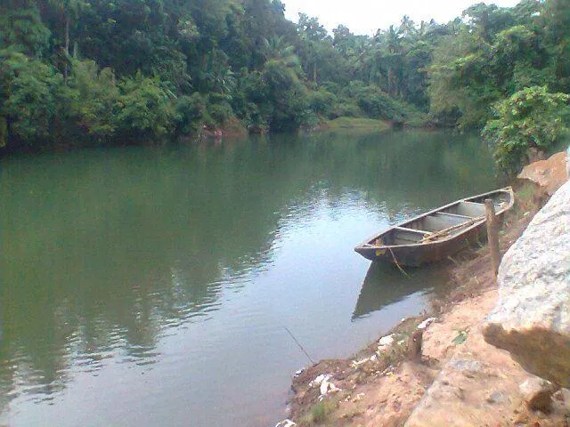 പ്രമാണം:Iruvazhinji.jpg - വിക്കിപീഡിയ