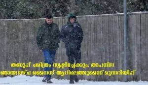 publive-image