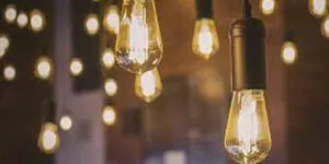 publive-image