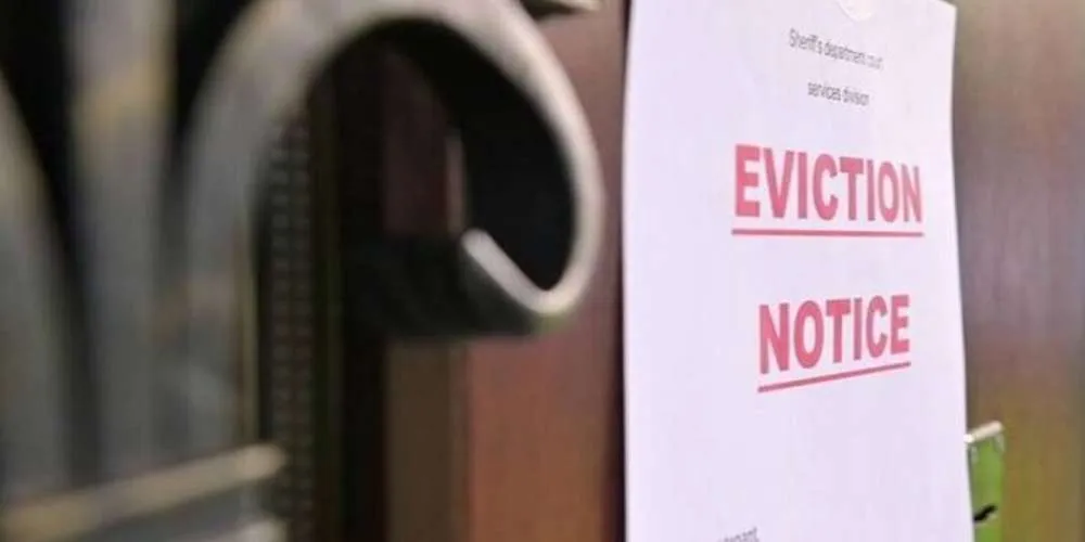 publive-image
