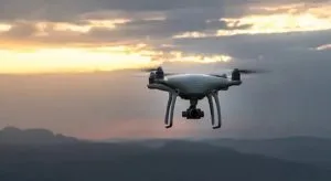 publive-image