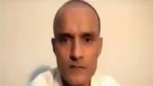 publive-image