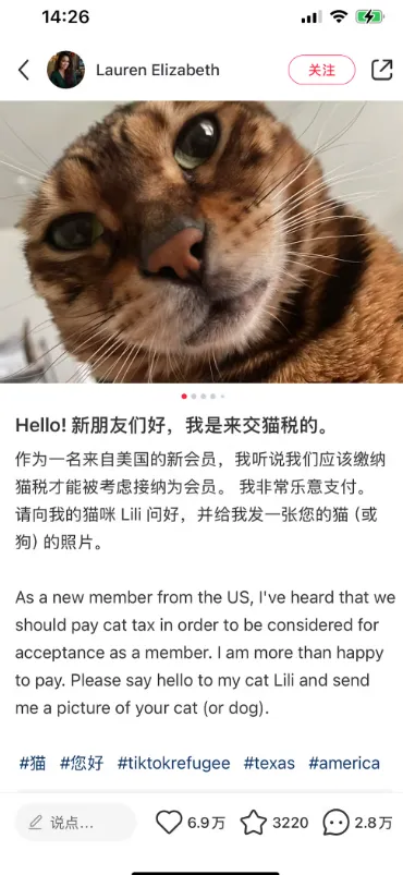 A TikTok refugee pays the ‘cat tax’. screenshot by Jianqing Chen of RedNote user Lauren Elizabeth's post