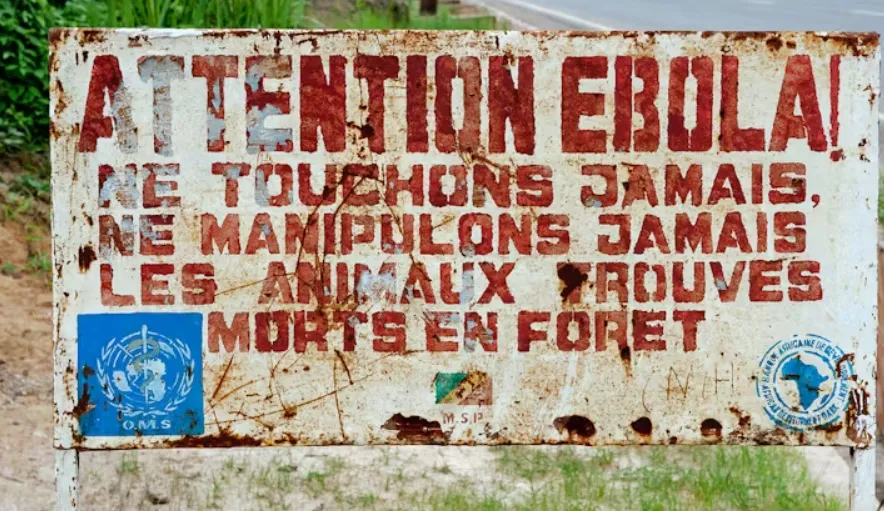 Reforms followed the Ebola epidemic in West Africa a decade ago. But were they enough? Sergey Uryadnikov/Shutterstock