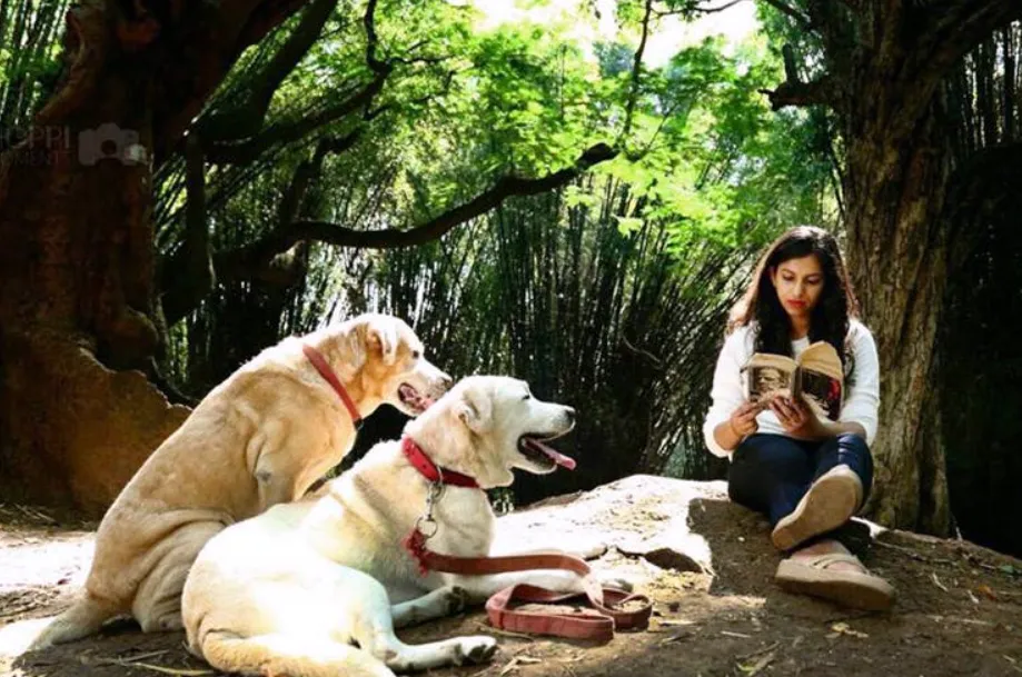 dog park