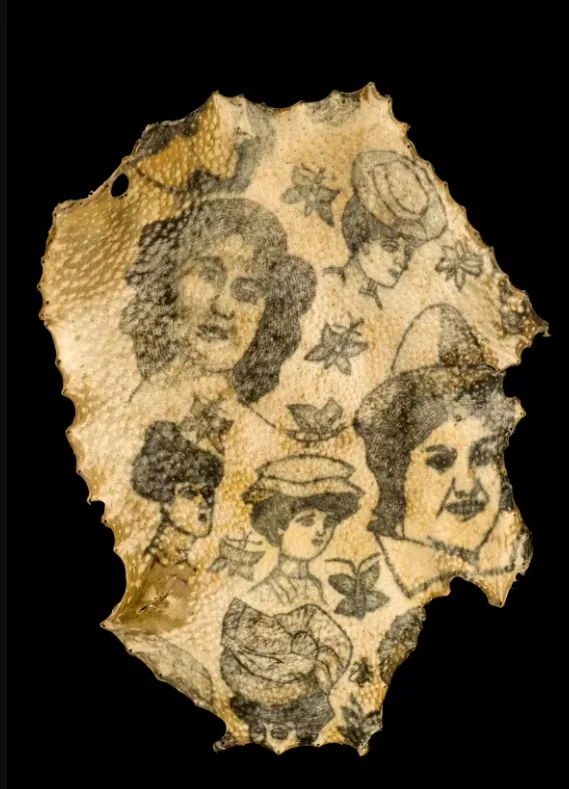 Several images of women’s heads and butterflies tattooed onto human skin once owned by a Parisian surgeon who collected and preserved hundreds of samples from the bodies of dead French soldiers. Wellcome Collection, CC BY