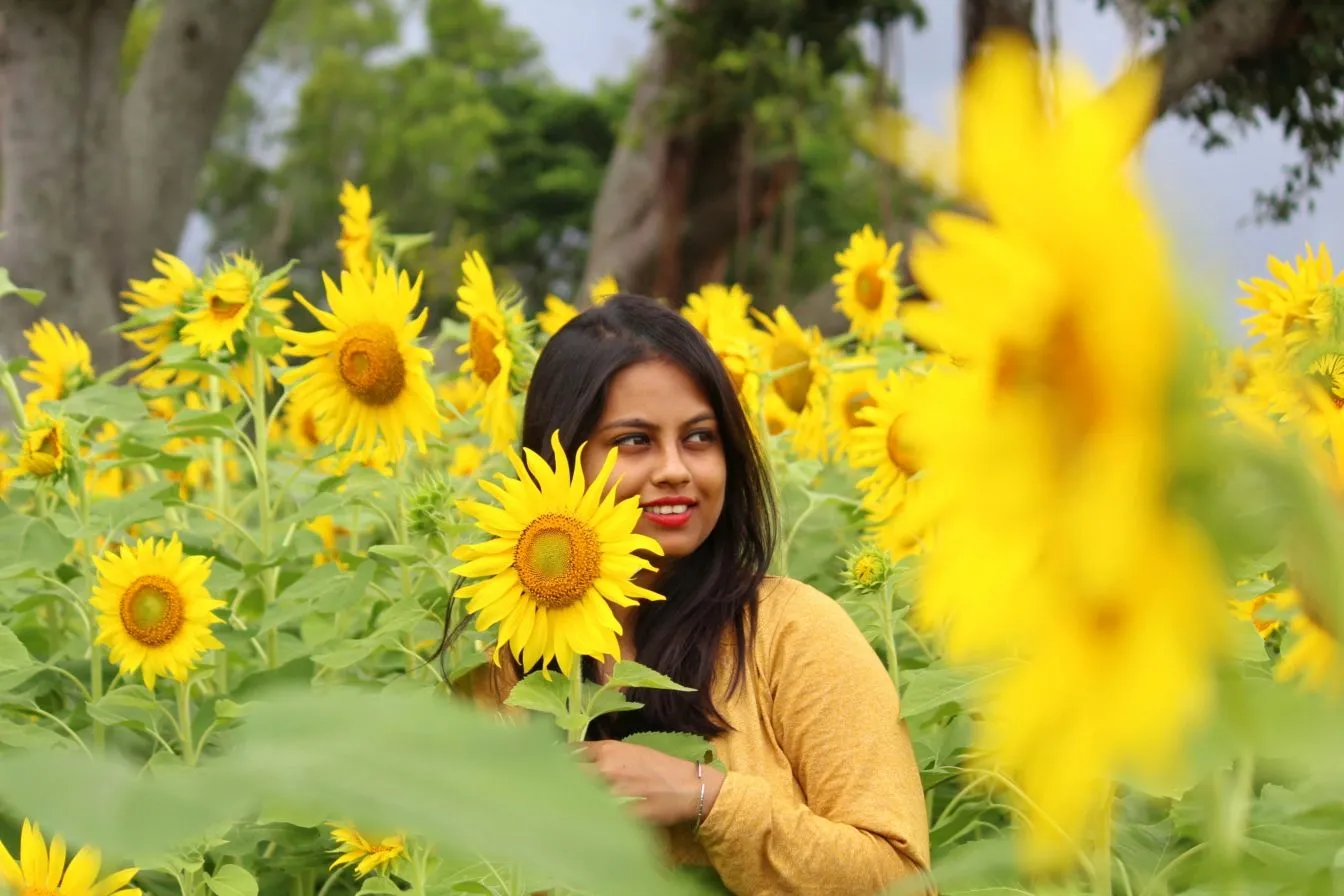 Gundlupet Flower Fields in Karnataka 