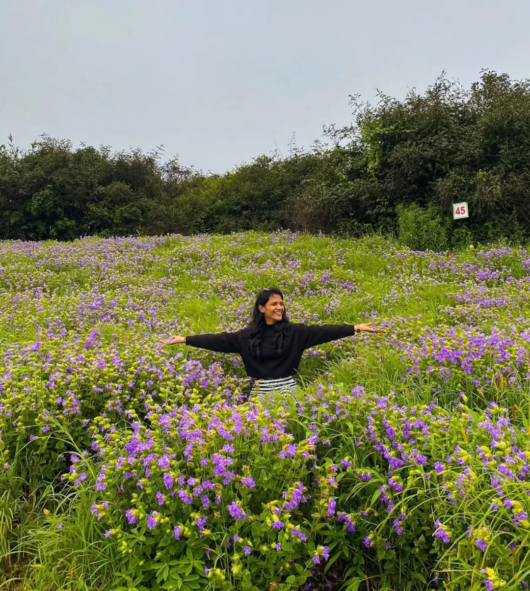 Kaas Plateau, Maharashtra 