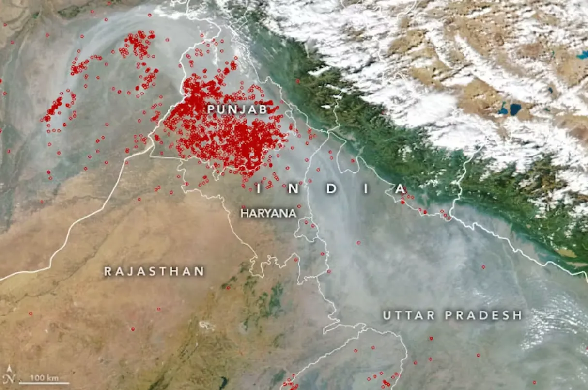 Satellite map showing smoky skies over northern India in November 2022 (Delhi is the small unlabelled region between Haryana and Uttar Pradesh). The red images show fires started by farmers to clear away unwanted crop residue. This ‘stubble burning’ is a big source of pollution downwind in Delhi. Nasa