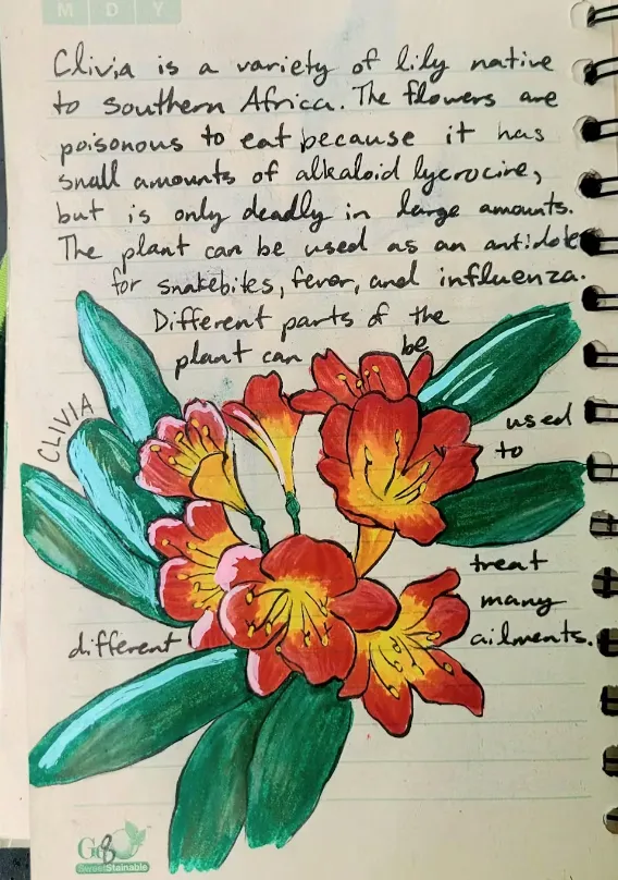 Botanical notes artwork made by 12-year-old self-taught artist Laila Ahuja as part of a summer exercise to practice drawing and learn about different flowers around the world. Laila Ahuja