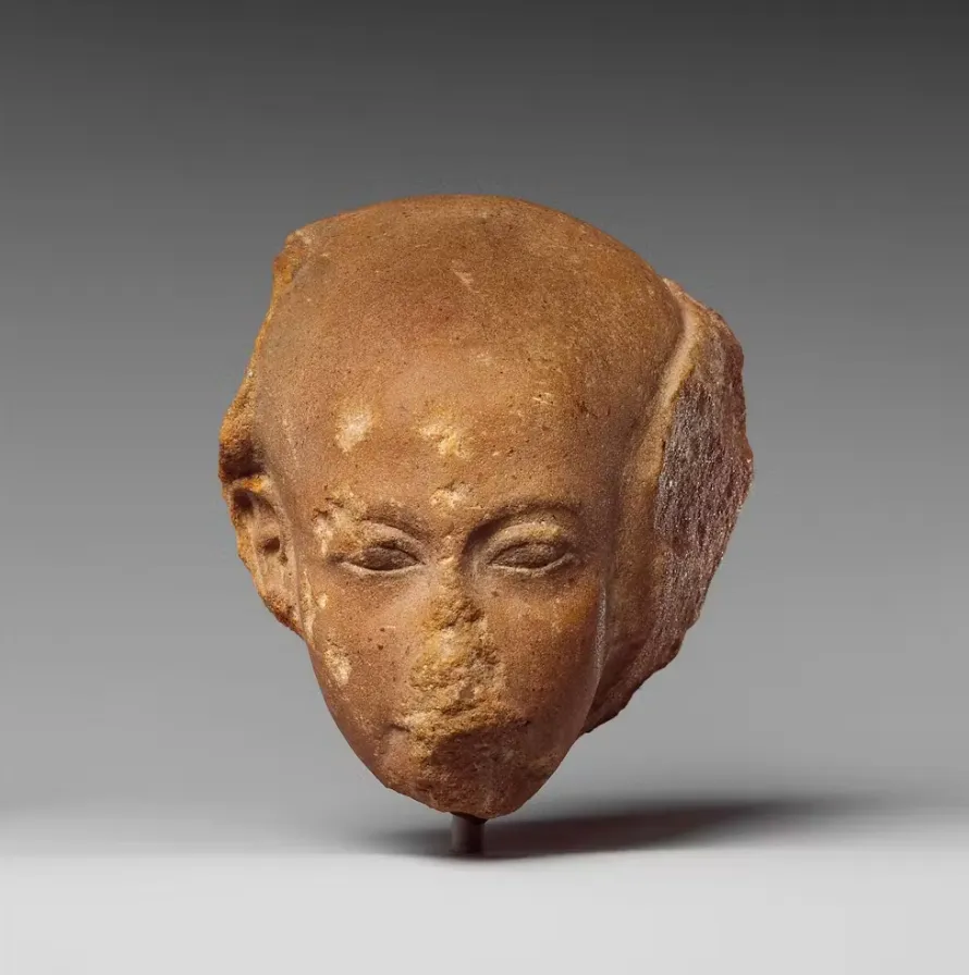 The bald head of an ancient Egyptian princess (circa BC 1352–1336). Met Museum