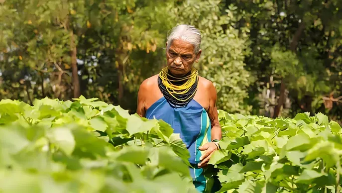 halakki tribe