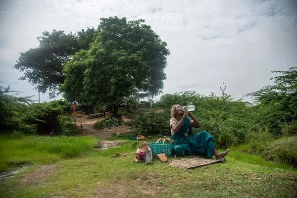 Govindamma Prawn Catcher