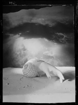 publive-image