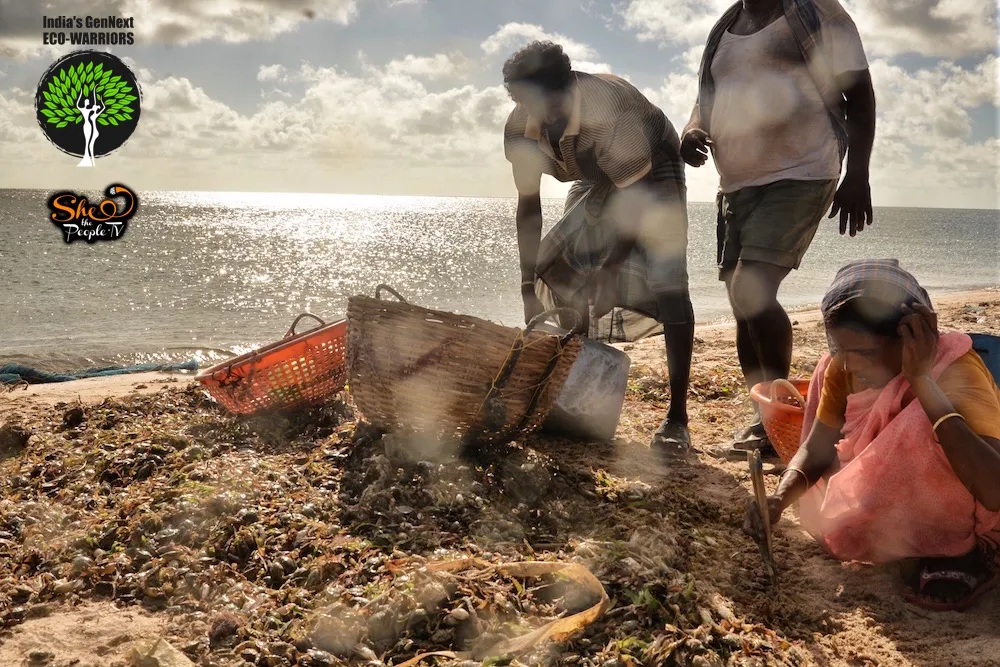 Marine Biologists in India