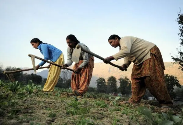 Women Farmer Suicide