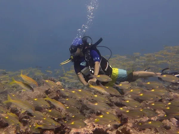 Exploring the underwater world. Picture Credit - Rucha Karkarey