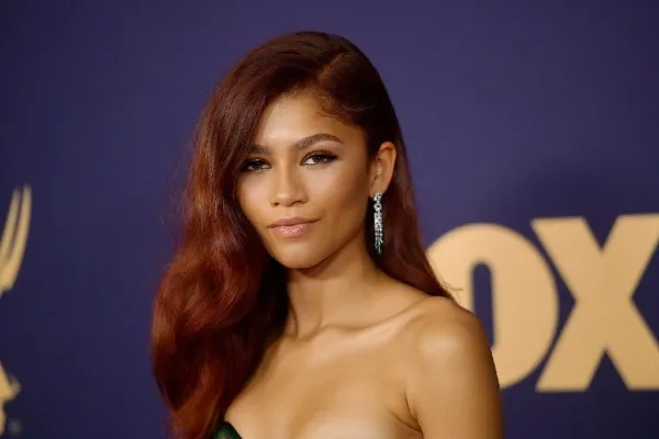 Zendaya Pregnant, Zendaya Mean Hollywood