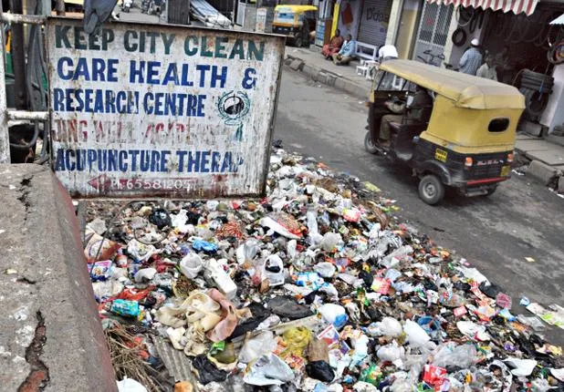 Garbage In India Picture By: The Hindu
