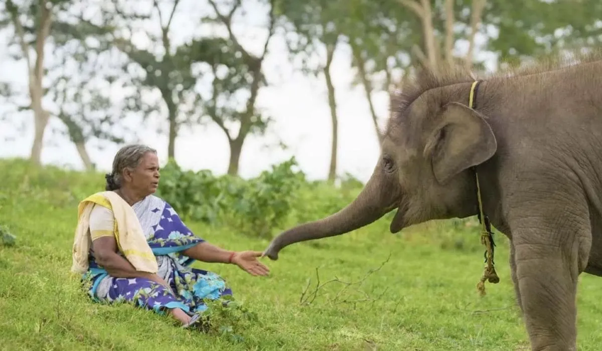 The Elephant Whisperers 