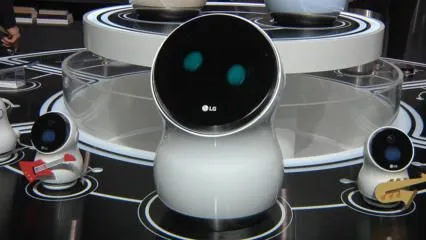 LG HUb Robot