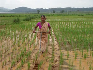 Women_Farmers