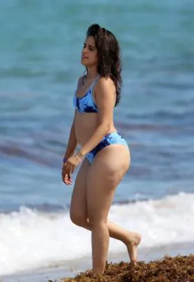 camila cabello body-shaming