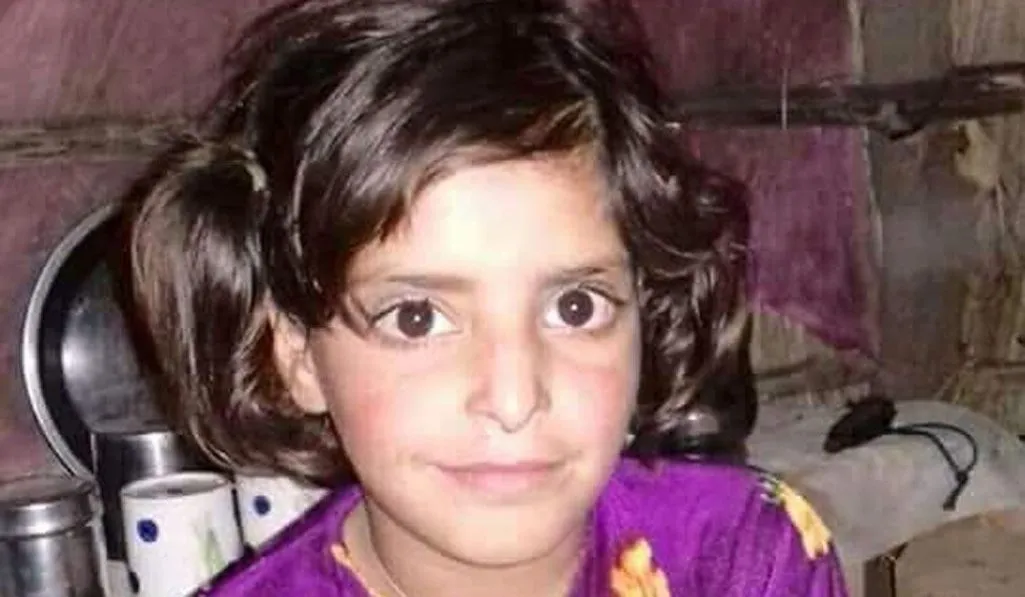 Asifa Another Nirbhaya, Rapes in India