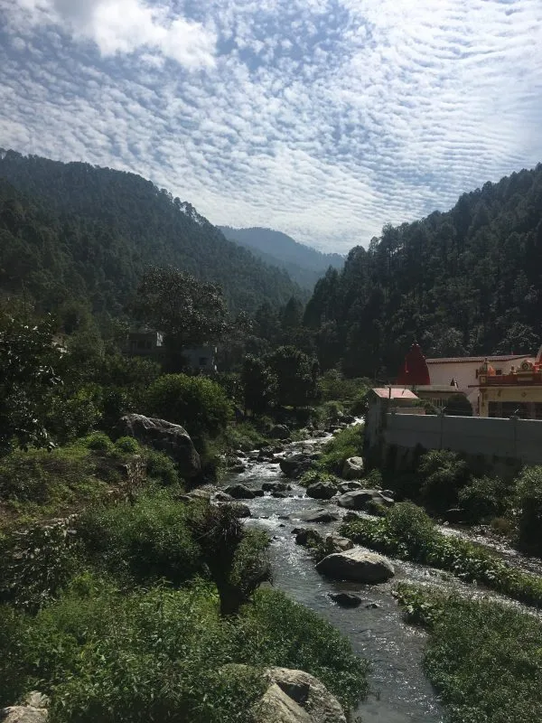 Binsar