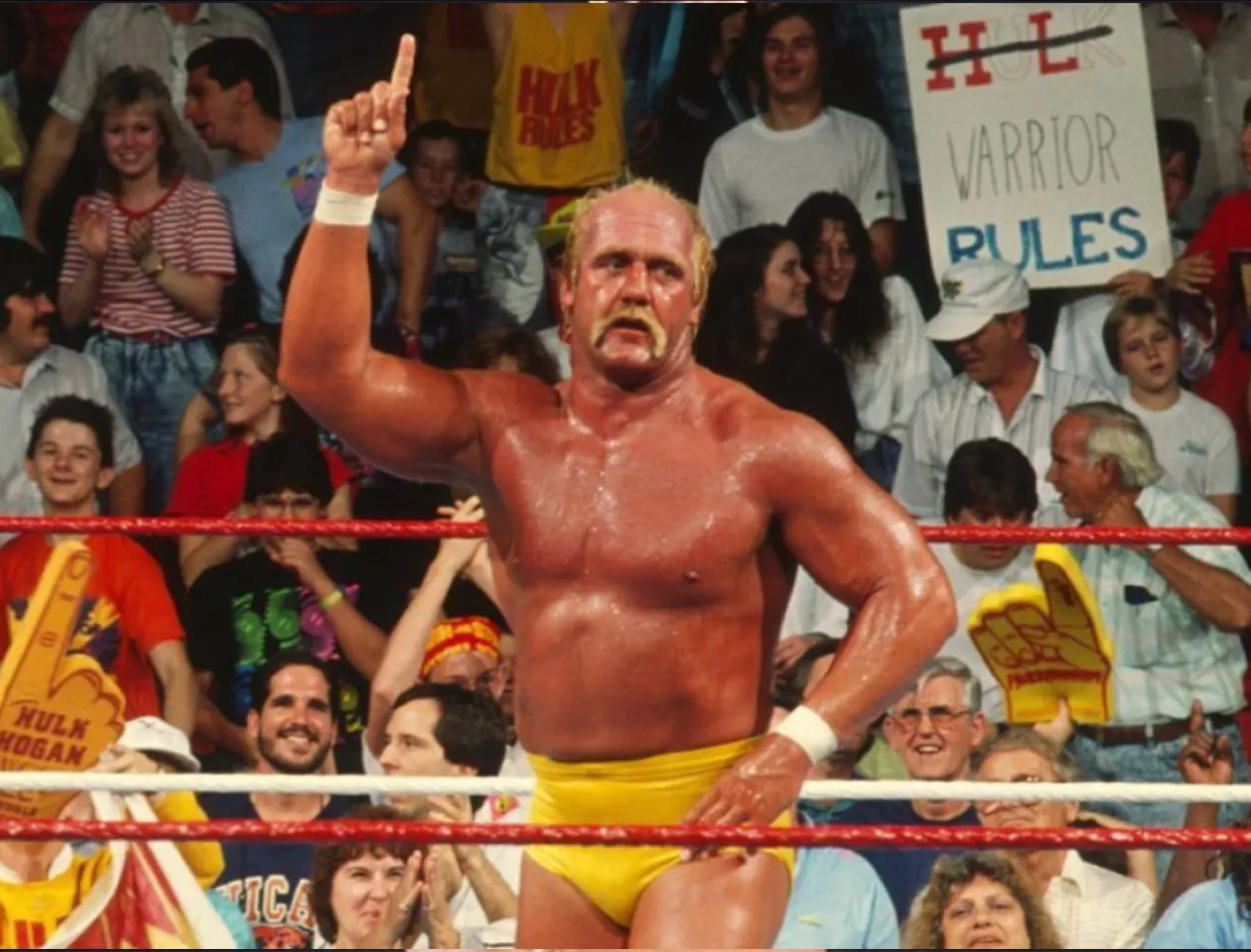 Hulk Hogan 