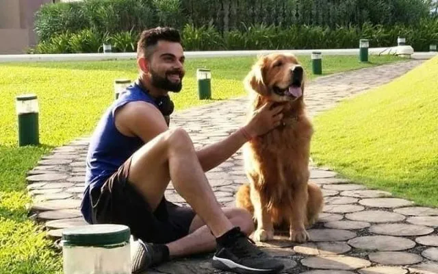 Virat Kohli 9