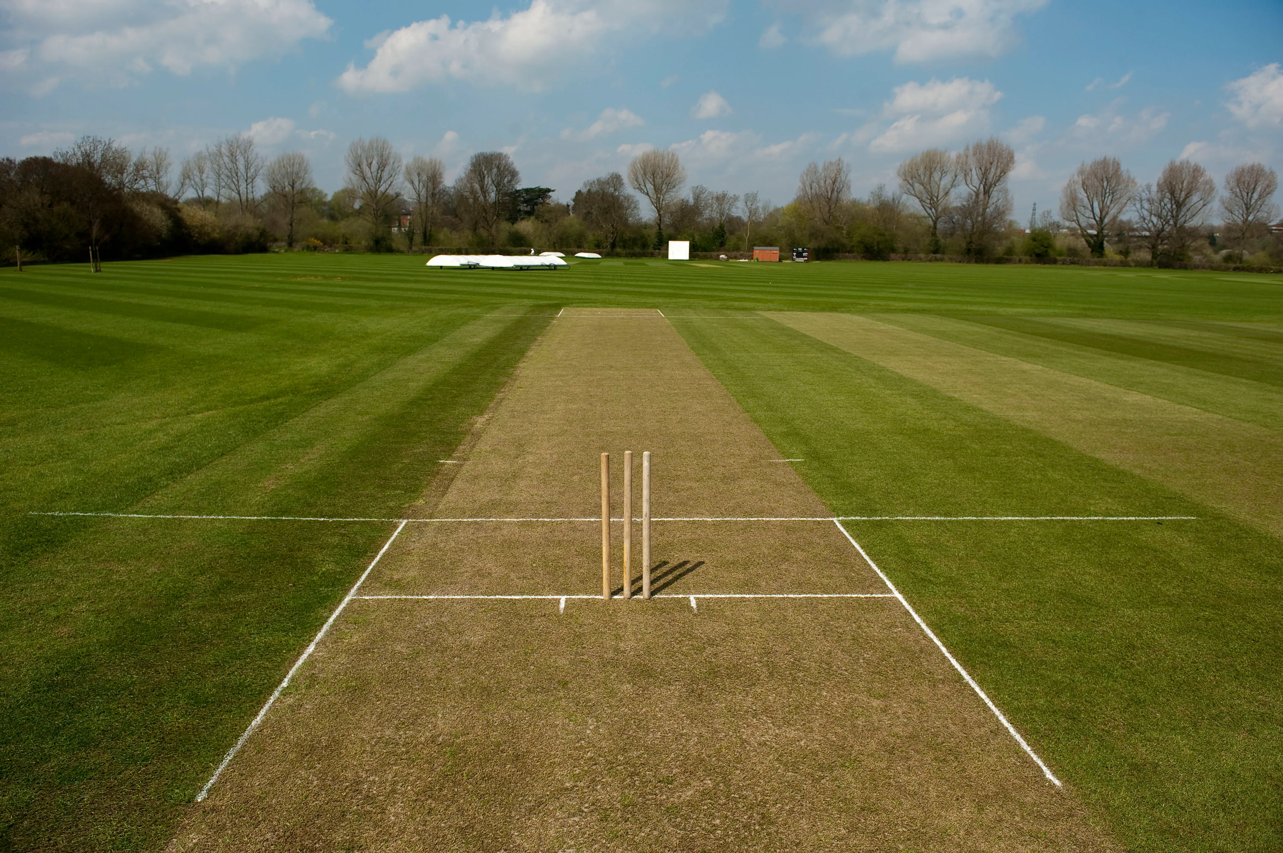 Why cricket pitch is 22 yards