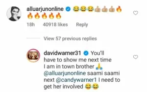 Allu Arjun comment. (Photo Source: Instagram)