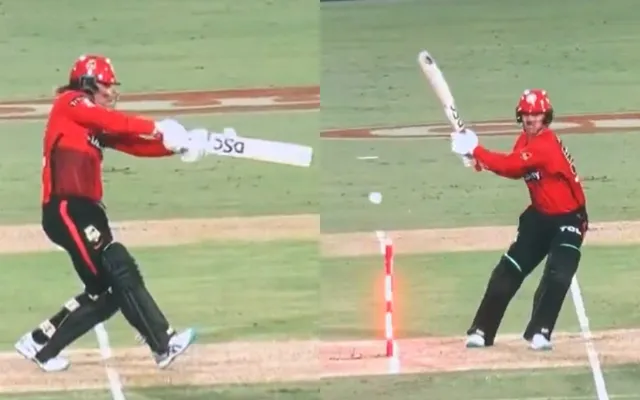 Watch: Bails get dislodged on its own during BBL Match between Melbourne Renegades and Brisbane Heat
