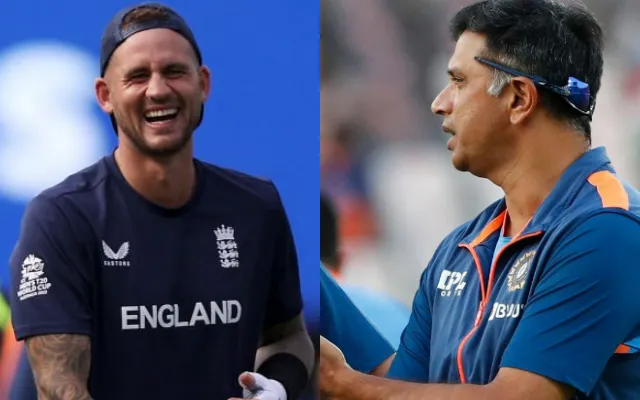 Alex Hales and Rahul Dravid