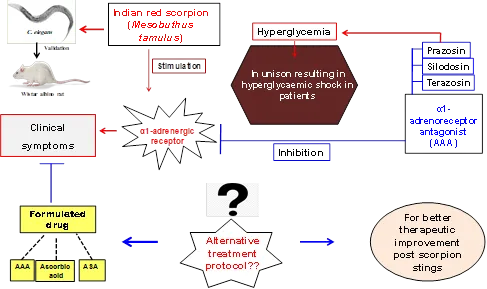 Novel Therapeutic Formulation Enhances Indian Red Scorpion Sting Treatment