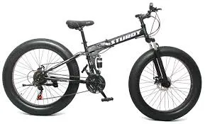 sturdy bike
