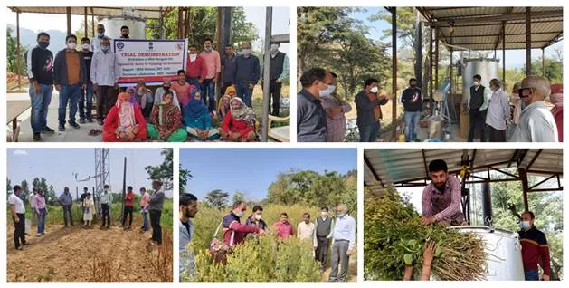 Description: C:\Users\Admin\Downloads\Collage-Success-Story--Livelihood-option-on-local-bio-resource-in-Chamba-distt-Himachal-Pradesh-STD-Mandi.jpg