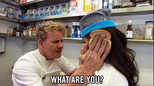 Gordon Ramsay roasts