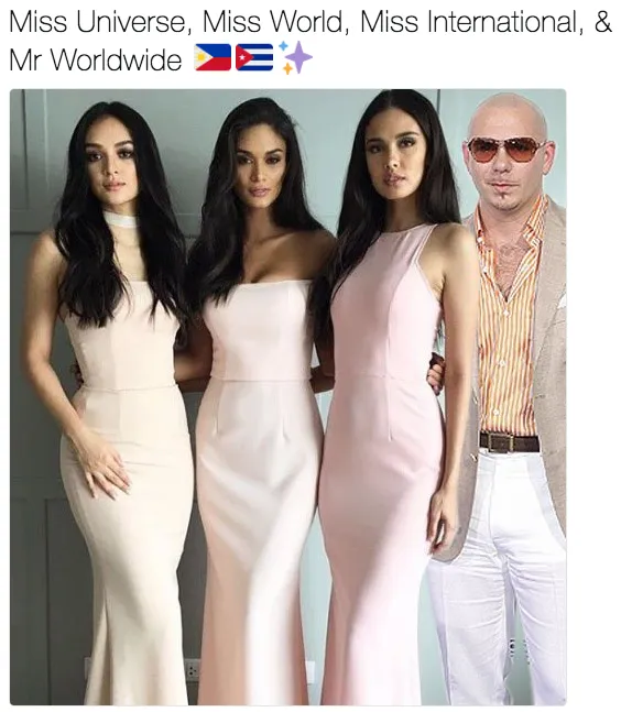 Pitbull memes